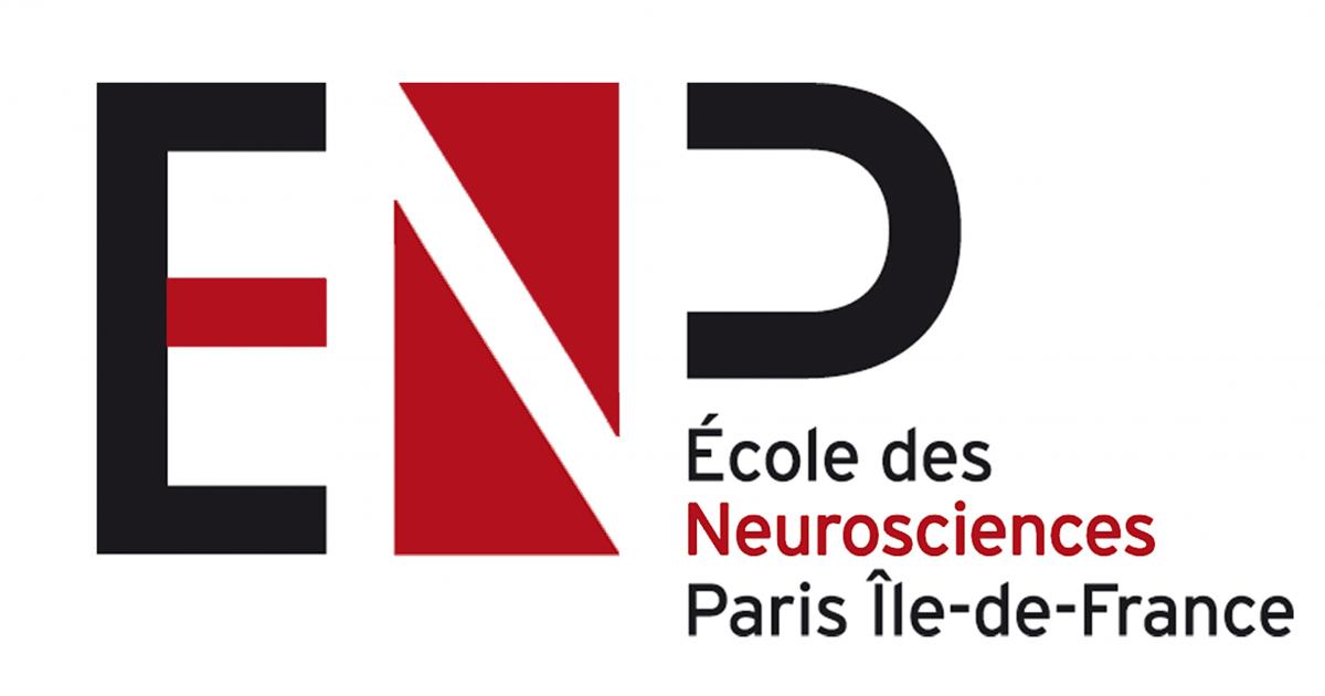 Ecole des Neurosciences de Paris (ENP) -  Call for Applications